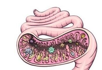 Towards in the stomach