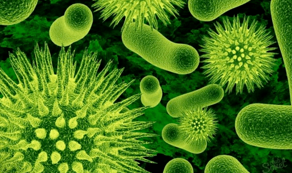 Virus caused by parasites