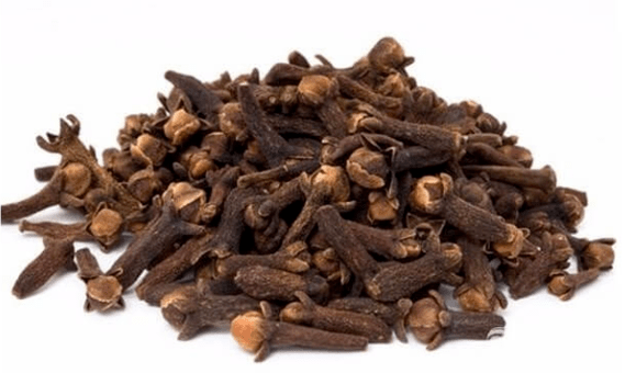 Carnation seeds